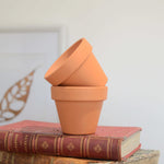 POT x 2 terre cuite monjungle