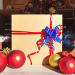 Box de NoĂ«l Surprise đ â 3 Plantes dâintĂ©rieur + JungleBoule