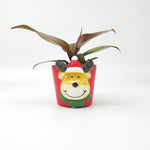 Weihnachts-Pflanztopfhülle