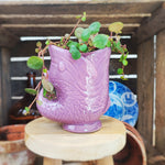 Cache pot poisson dia 6cm monjungle