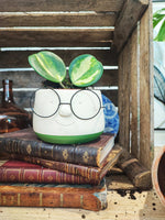 Cache pot lunettes vert olive 13cm en dia monjungle