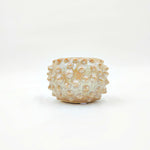 Cache Pot Châtaigne De Mer monjungle