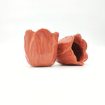 Cache Pot: Tulipe Orange monjungle