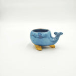 Cache Pot: Baleine Bleu monjungle