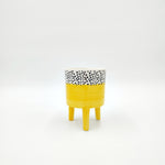 Cache Pot Signé Jeune Petits Pois monjungle