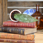 Hoya CAUDATA Sumatra monjungle