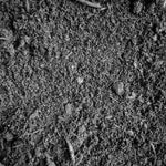 Véritable terre de bruyère, support de culture substrat monjungle