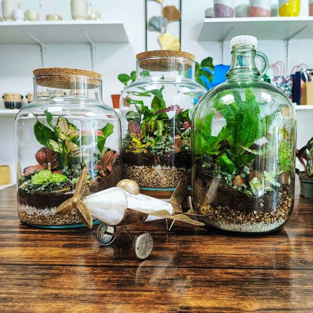 mini plant terrarium DIY Terrarium Workshop – Create your mini plant garden – Monjungle