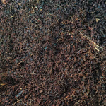 Harlequin Mélange monjungle