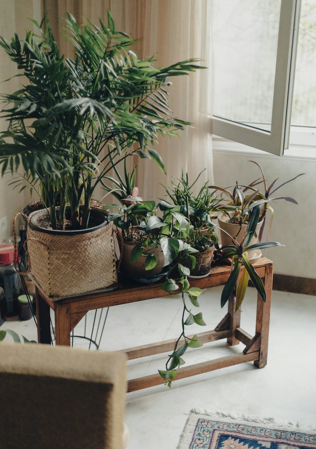 a living room filled with furniture and vase of flowers on a plant