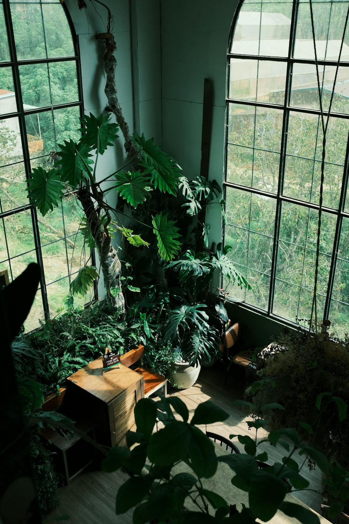 A room filled with lots of windows and plants