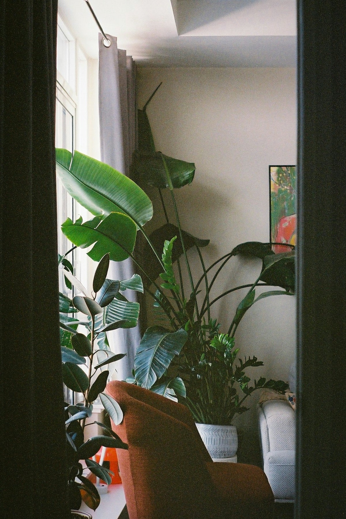 Cozy room with lush green plants and armchair.