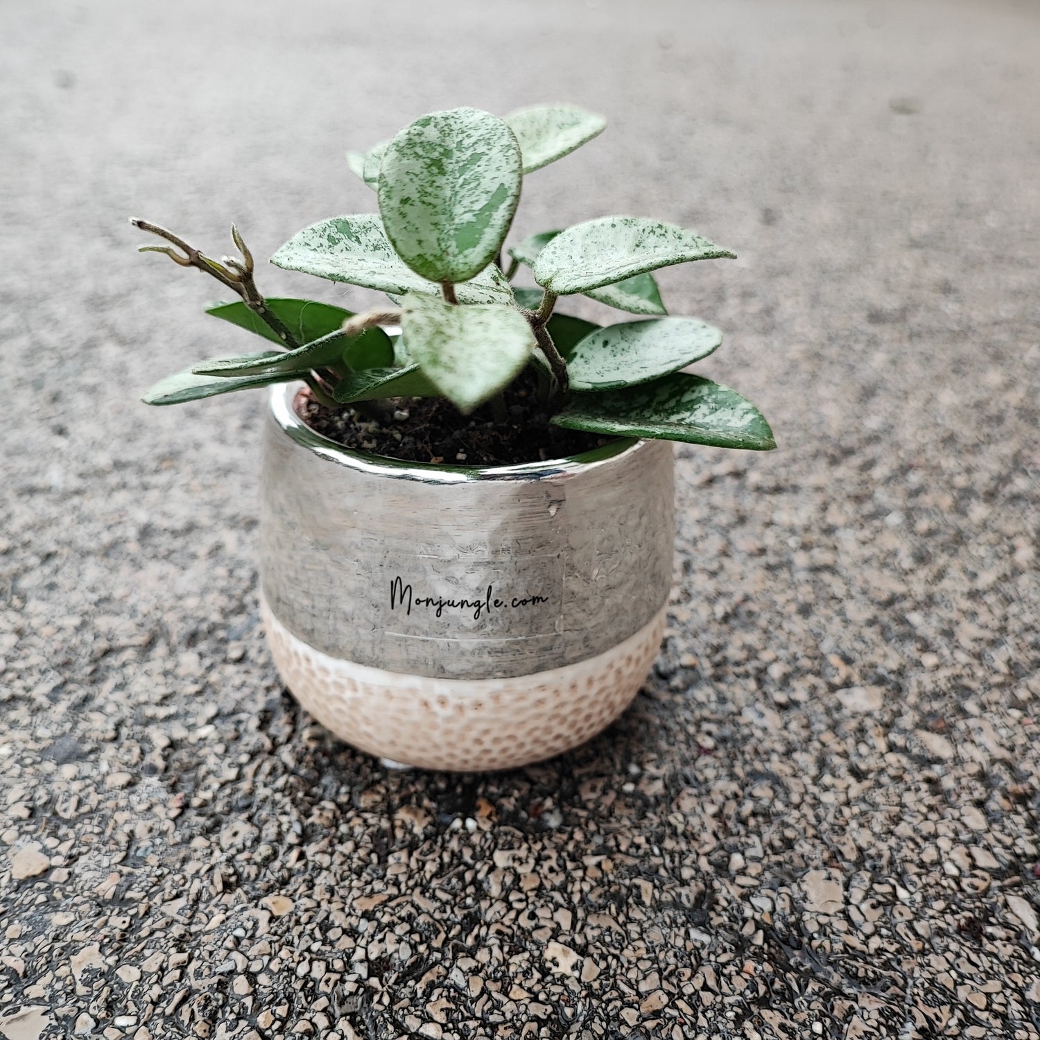 6cm silver and ceramic pot cover, honeycomb shape