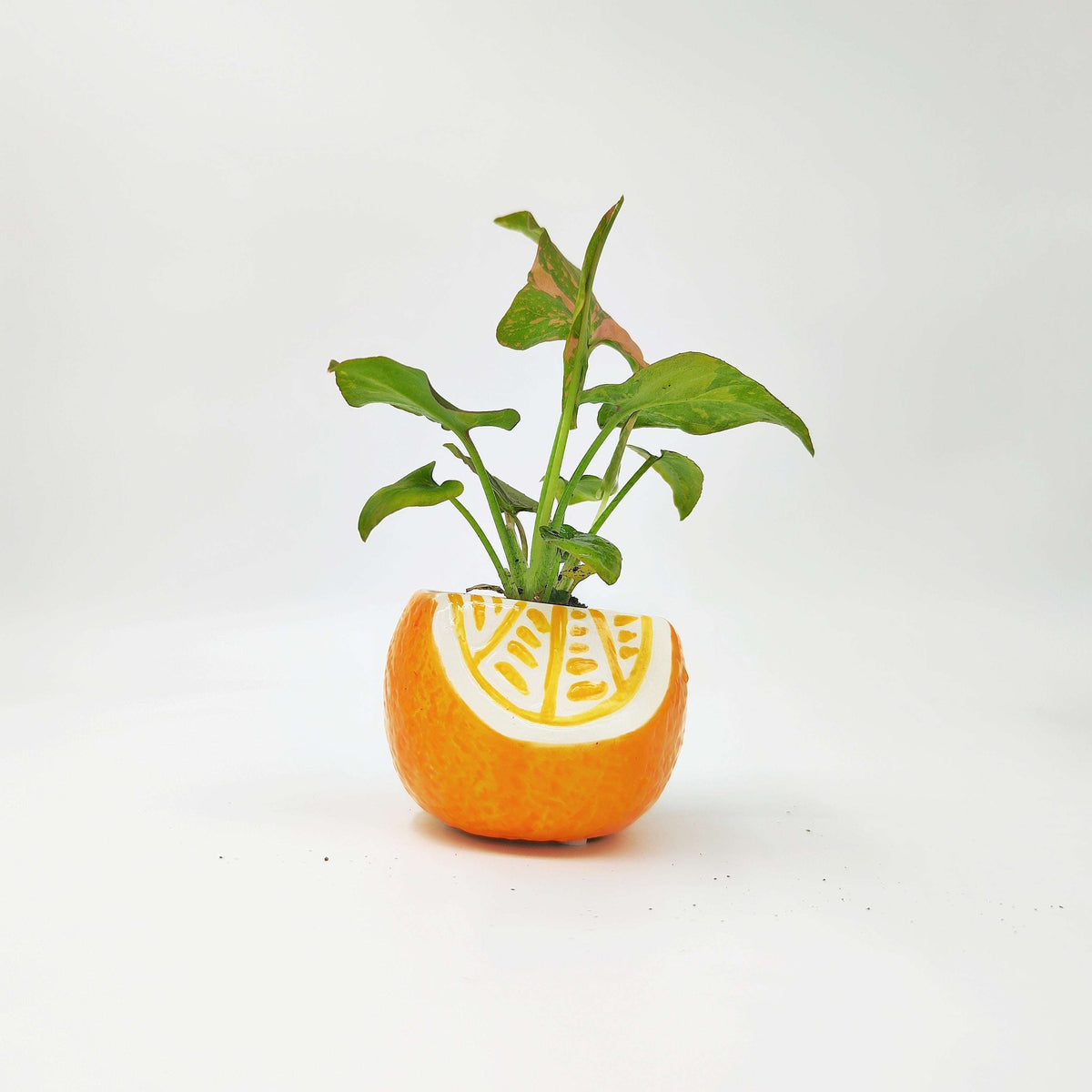 Cache Pot Orange