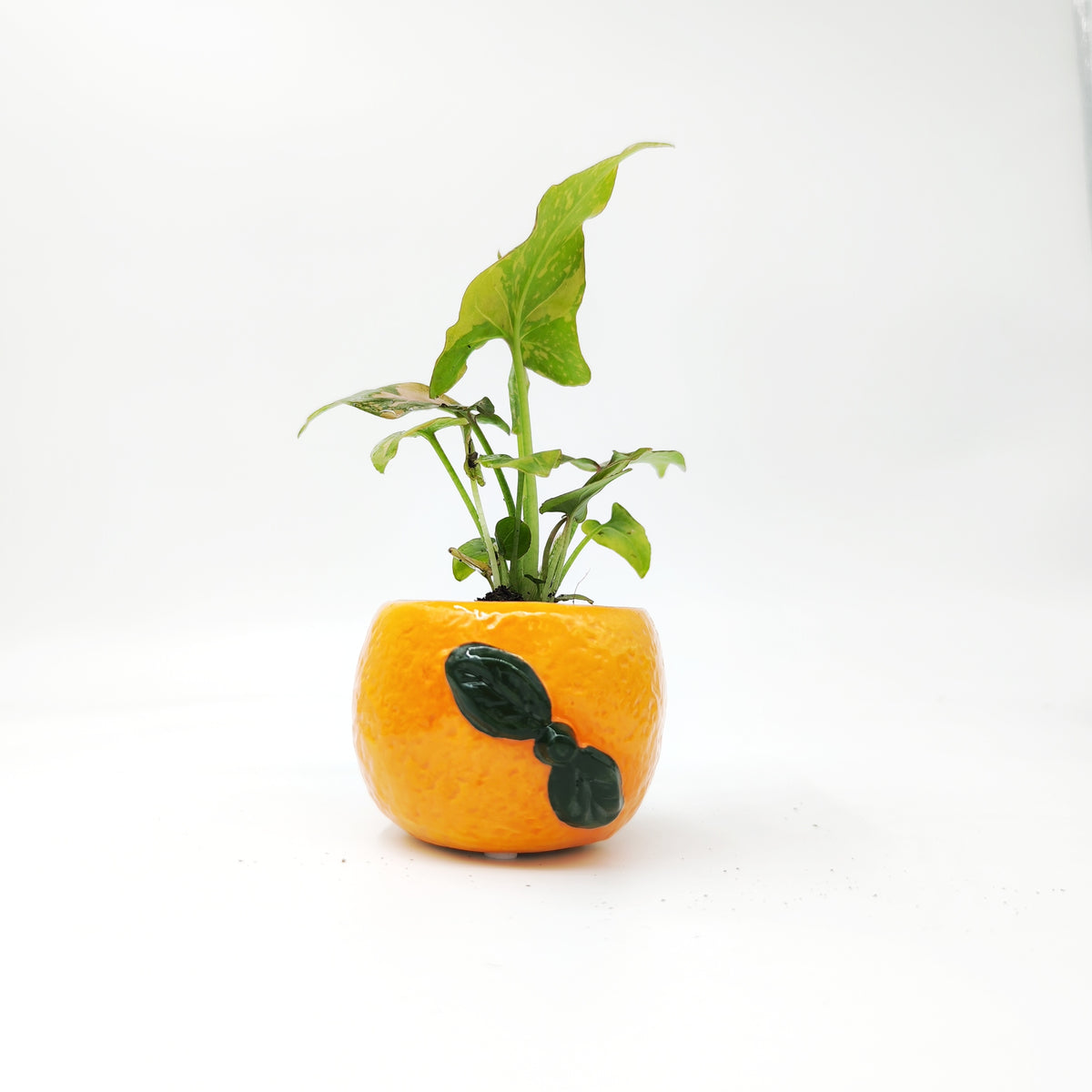 Cache Pot Orange - monjungle