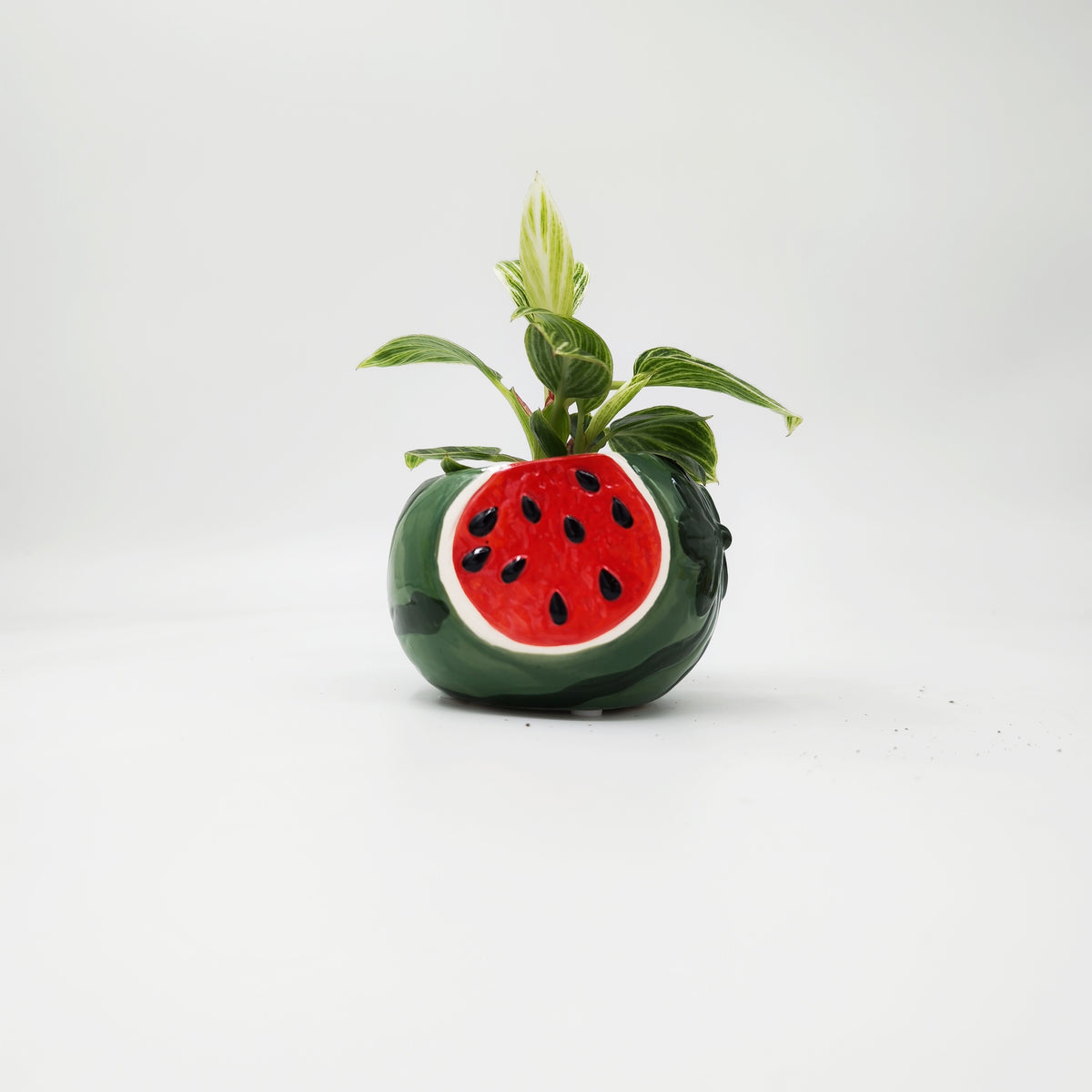 Cache Pot Pastèque - monjungle