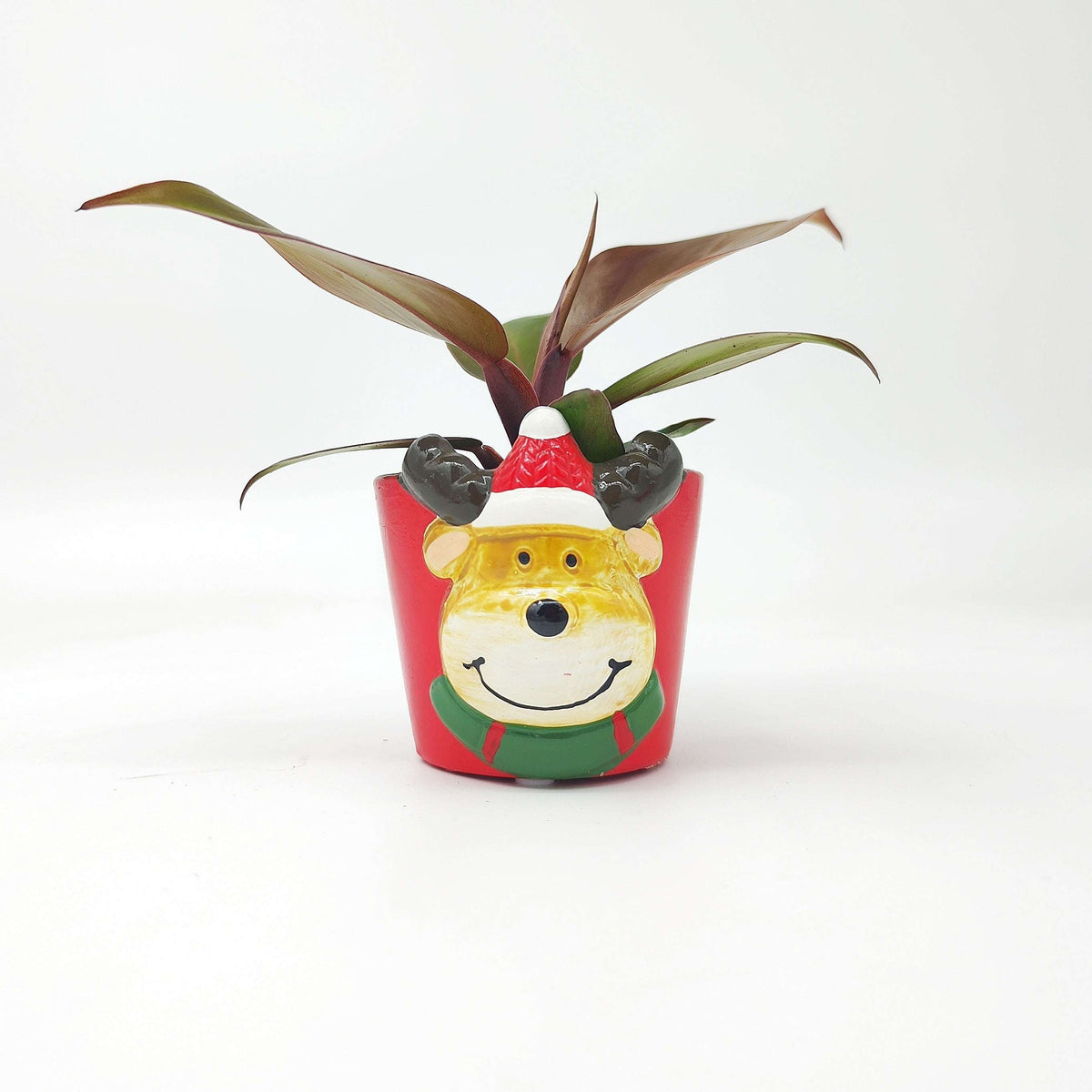 Cache Pot Noël