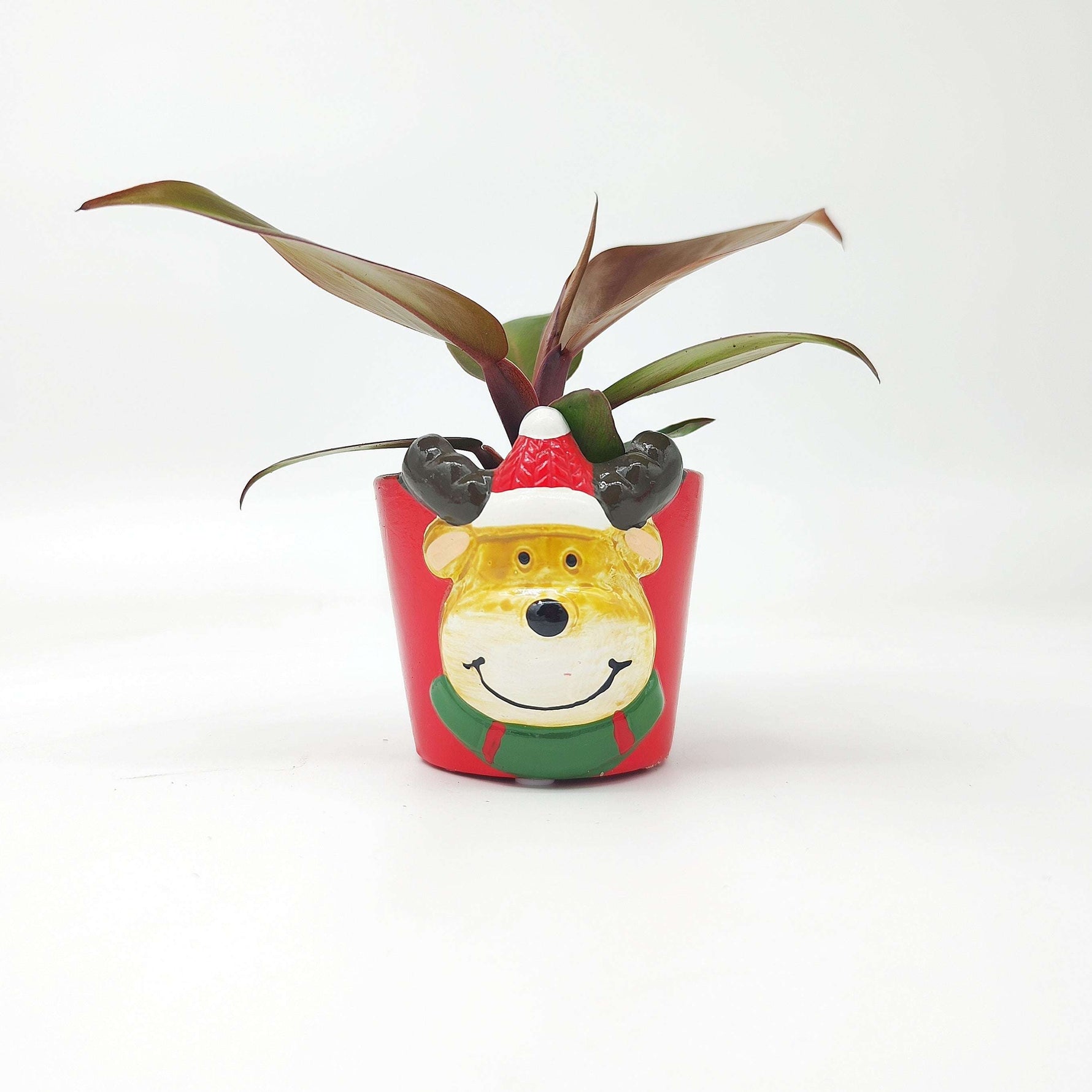 Cache Pot Noël