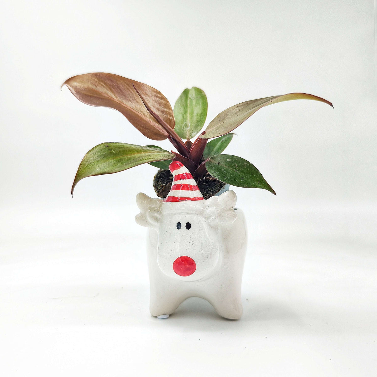 Cache-pot Renne de Noël