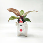 Cache-pot Renne de Noël