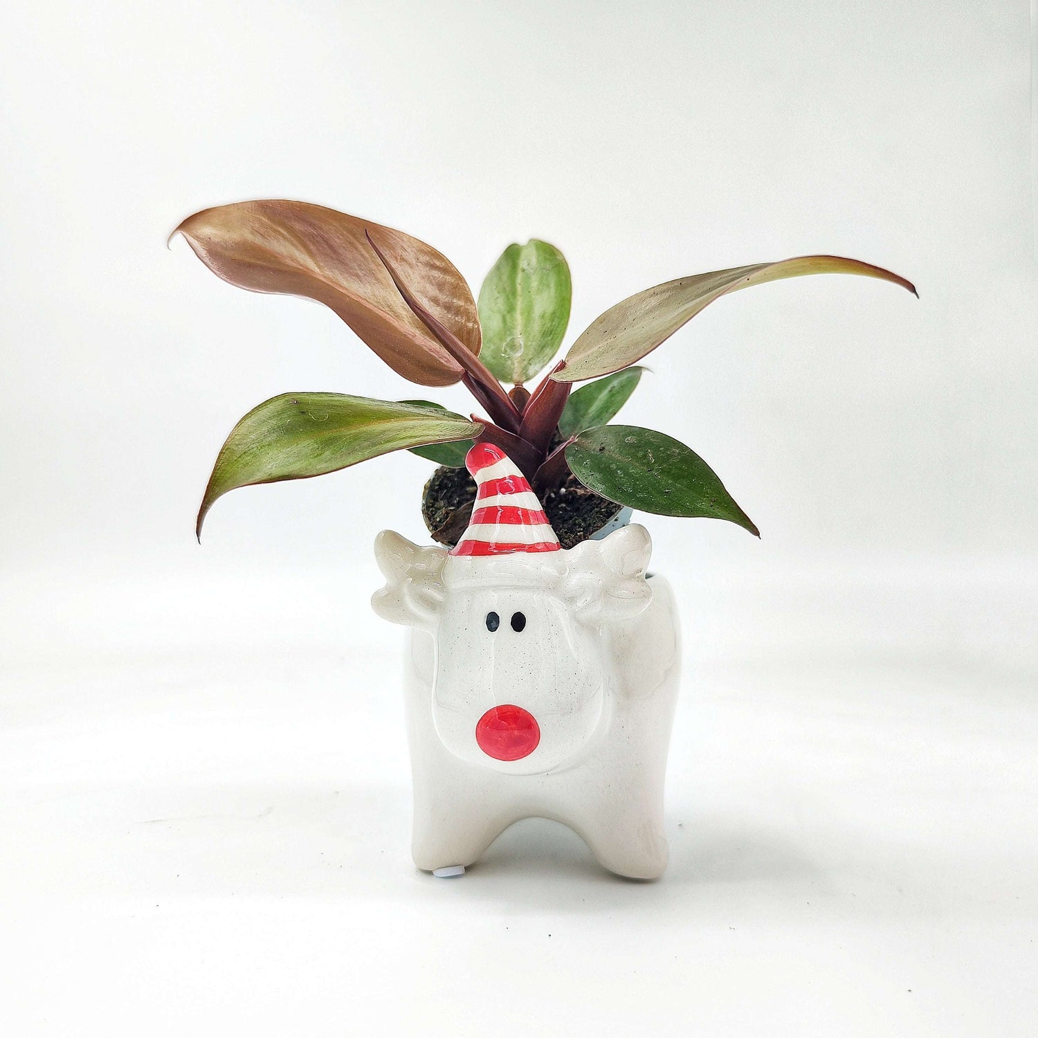 Cache-pot Renne de Noël