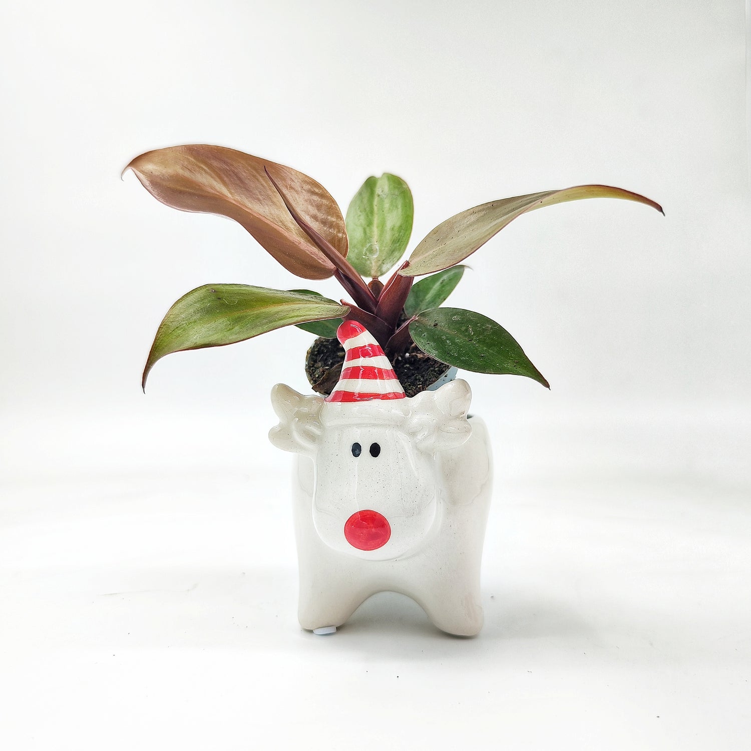 Cache-pot Renne de Noël – Céramique Émaillée (Ø 6 cm)