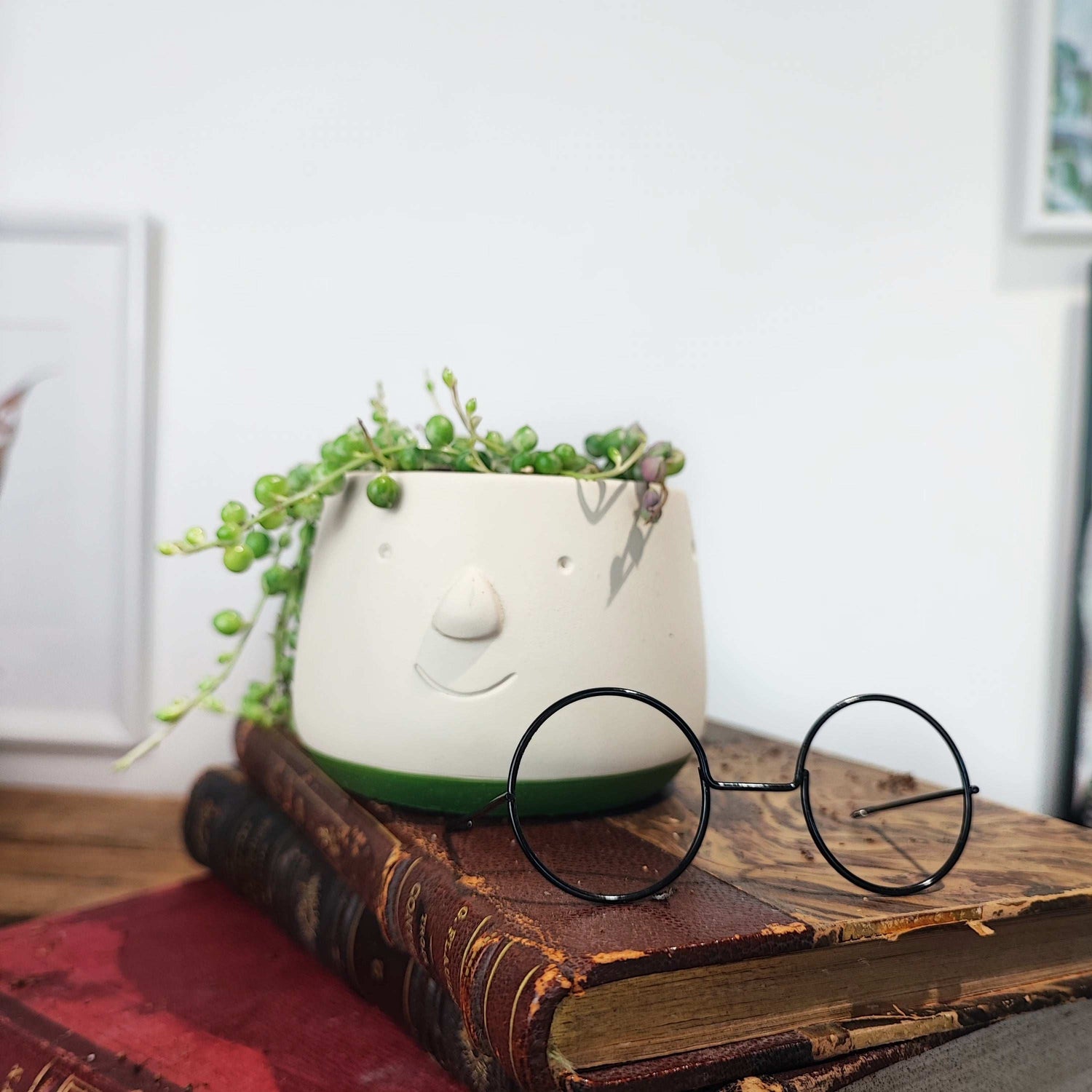Cache pot lunettes 7cm en dia monjungle