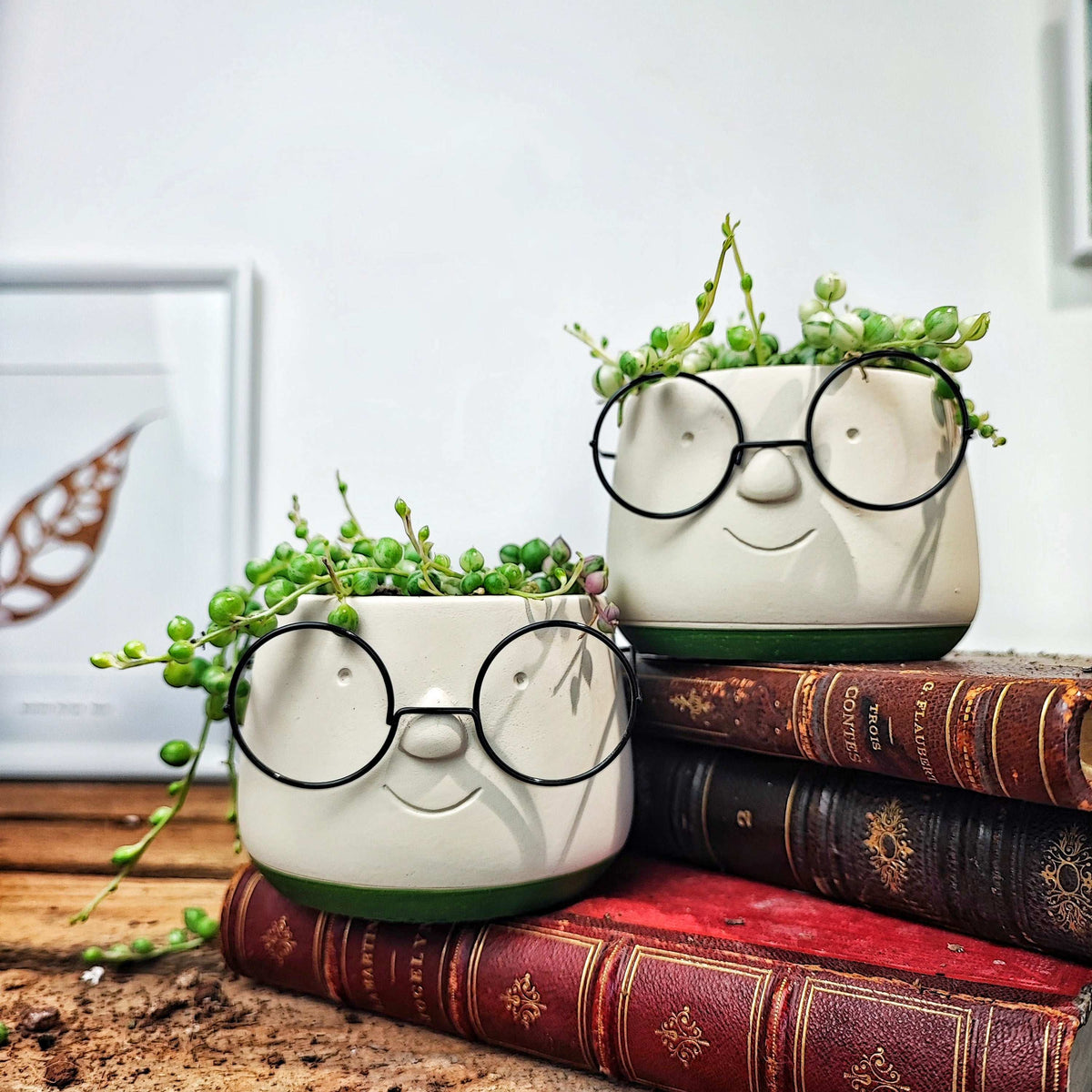Cache pot lunettes vert olive monjungle