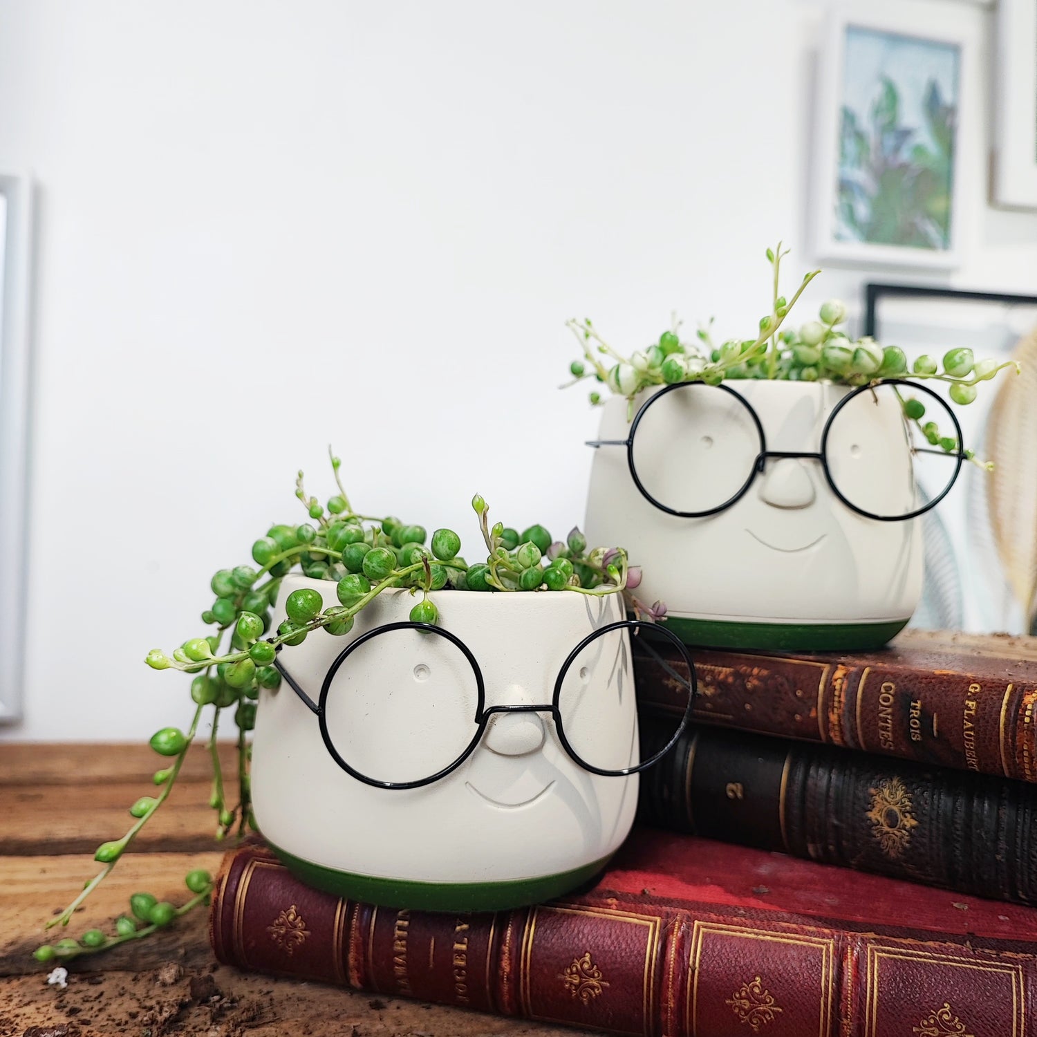 Cache pot lunettes vert olive 7cm en dia