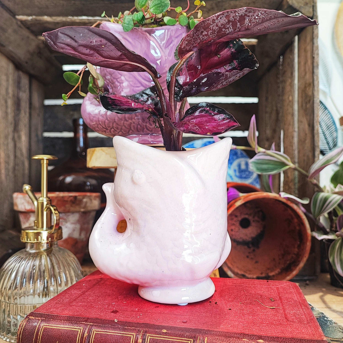 Cache pot poisson dia 6cm rose pâle monjungle