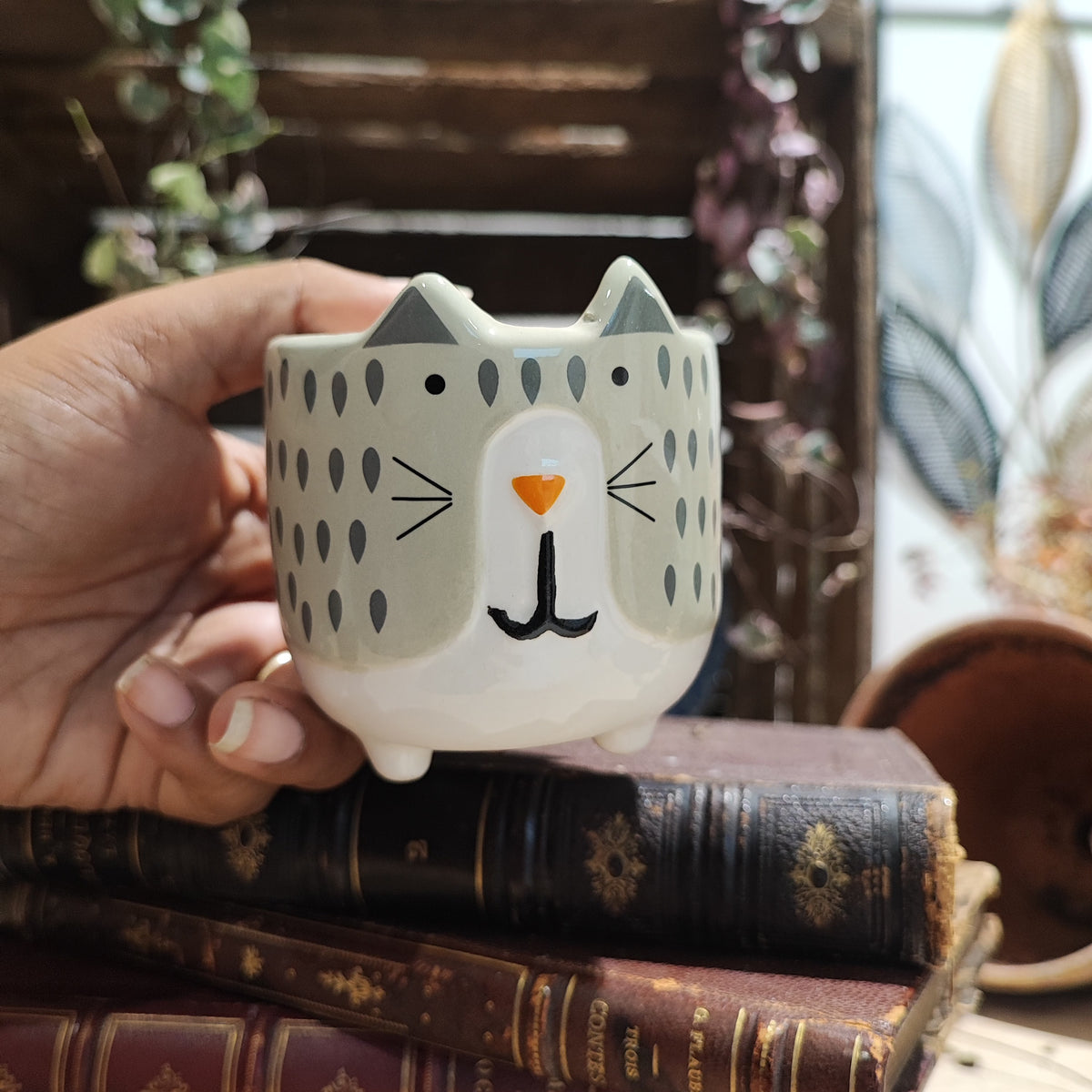 Cache pot MEOW Gris Perle monjungle