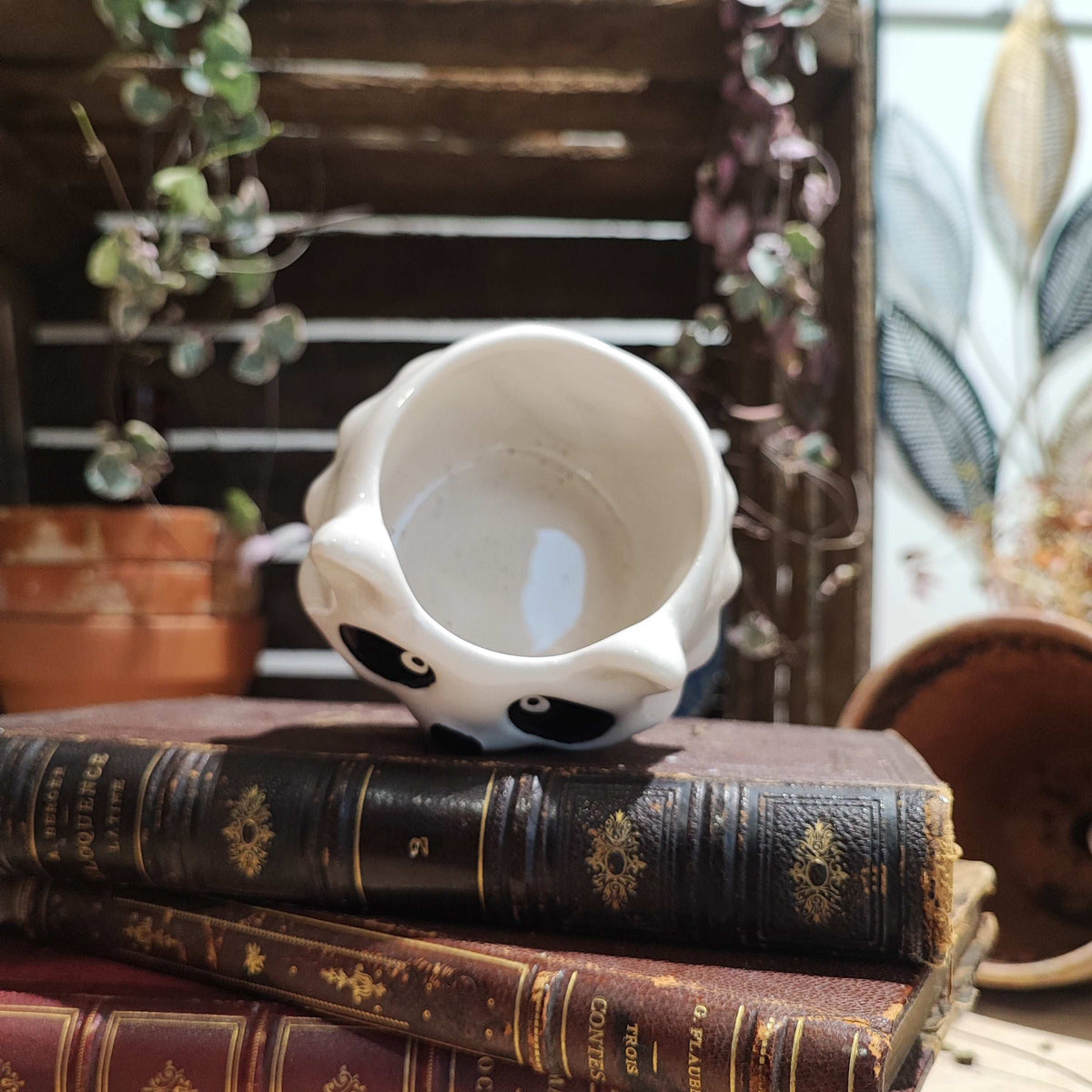 Cache pot: Kung FU Panda monjungle