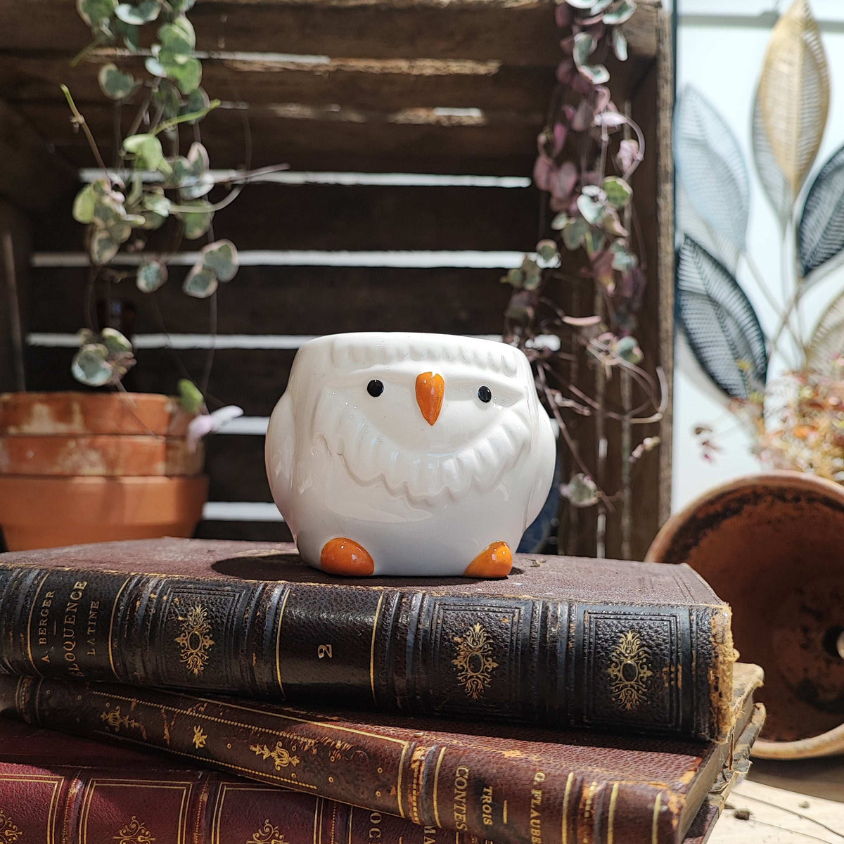 Cache pot: Petit Poussin monjungle