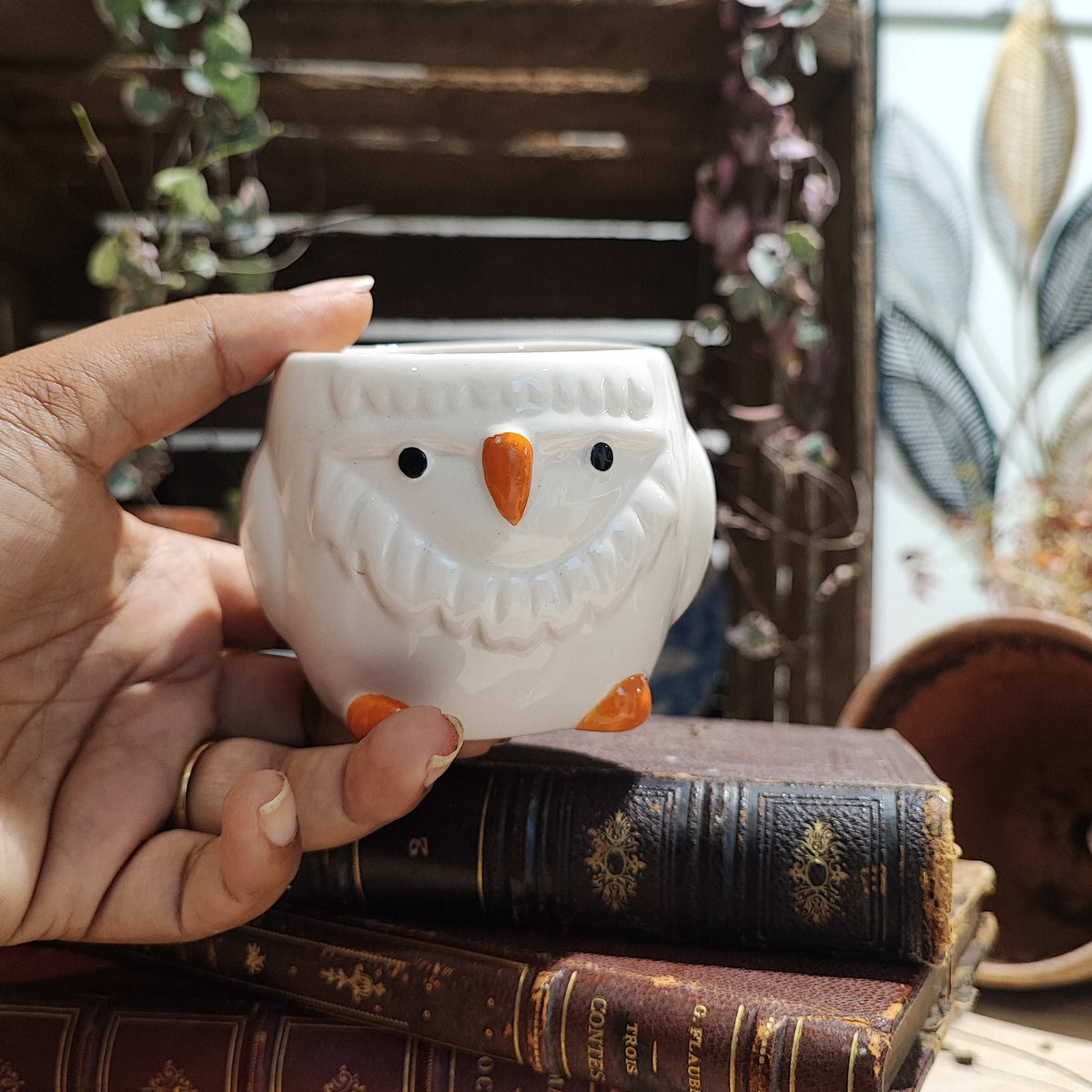 Cache pot: Petit Poussin monjungle