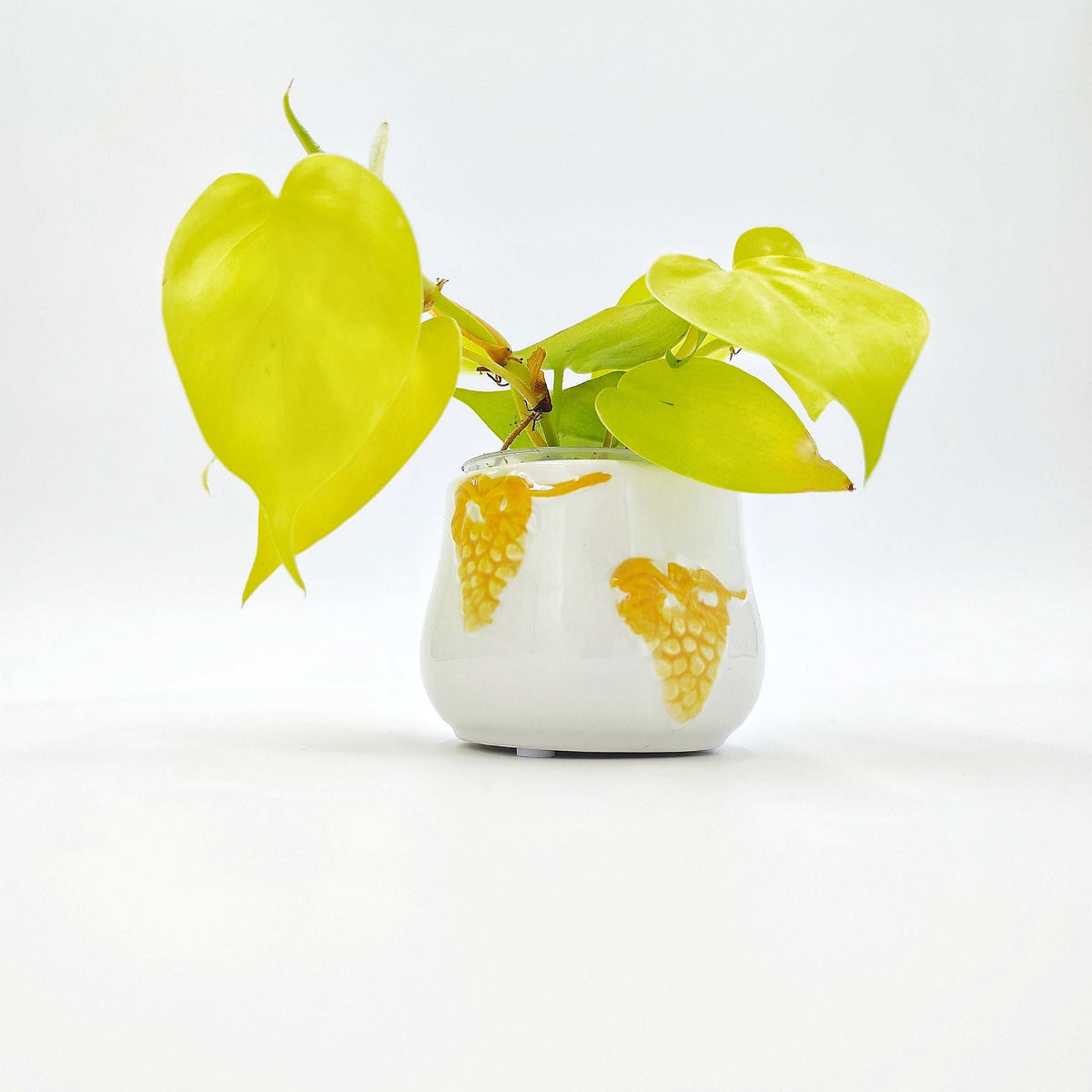 Cache pot Elysian monjungle