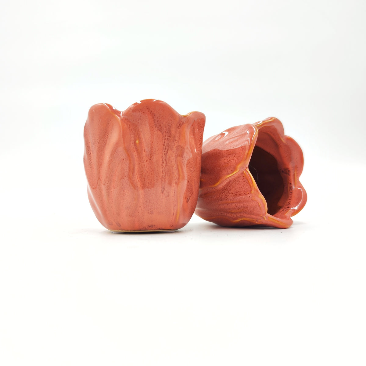 Cache Pot: Tulipe Orange monjungle
