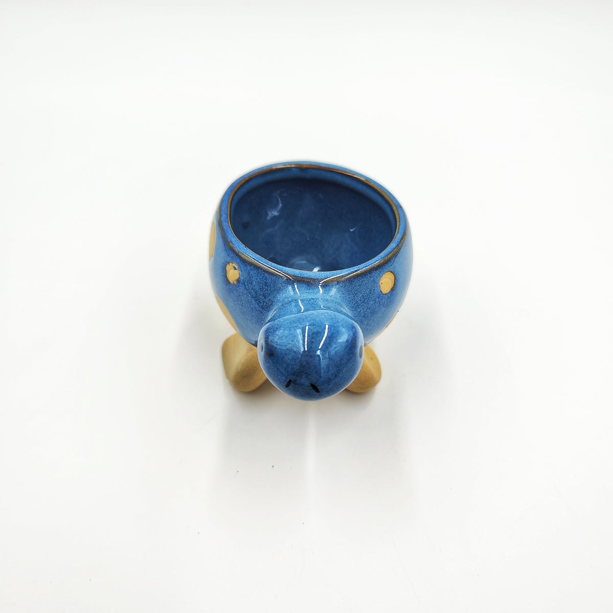 Cache Pot: Tortue Bleu monjungle