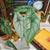 Alocasia Puncak Borneensis