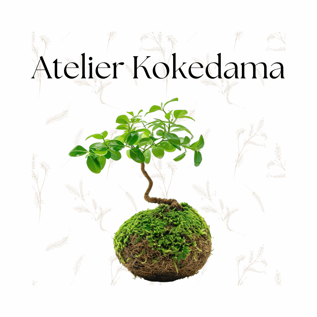 Atelier: Fabriquez Votre Kokedama Dans l'atelier Monjungle monjungle
