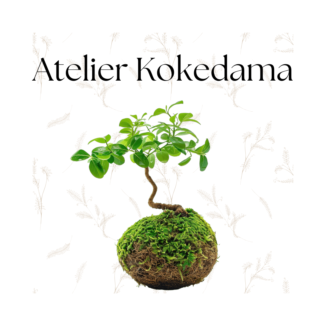 Atelier: Fabriquez Votre Kokedama Dans l'atelier Monjungle