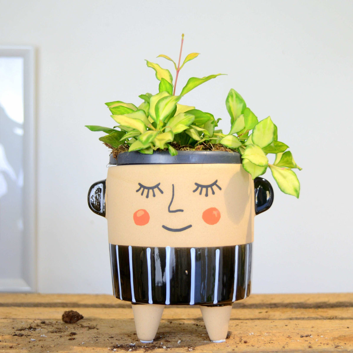 Cache pot NINO, dia 9cm monjungle