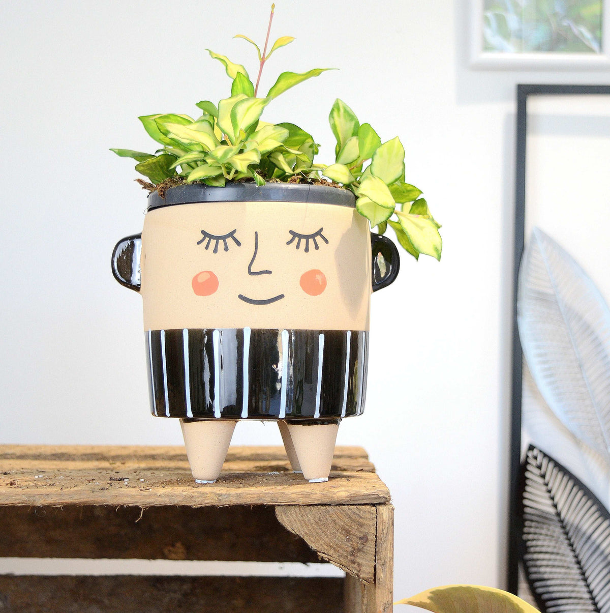 Cache pot NINO, dia 9cm monjungle