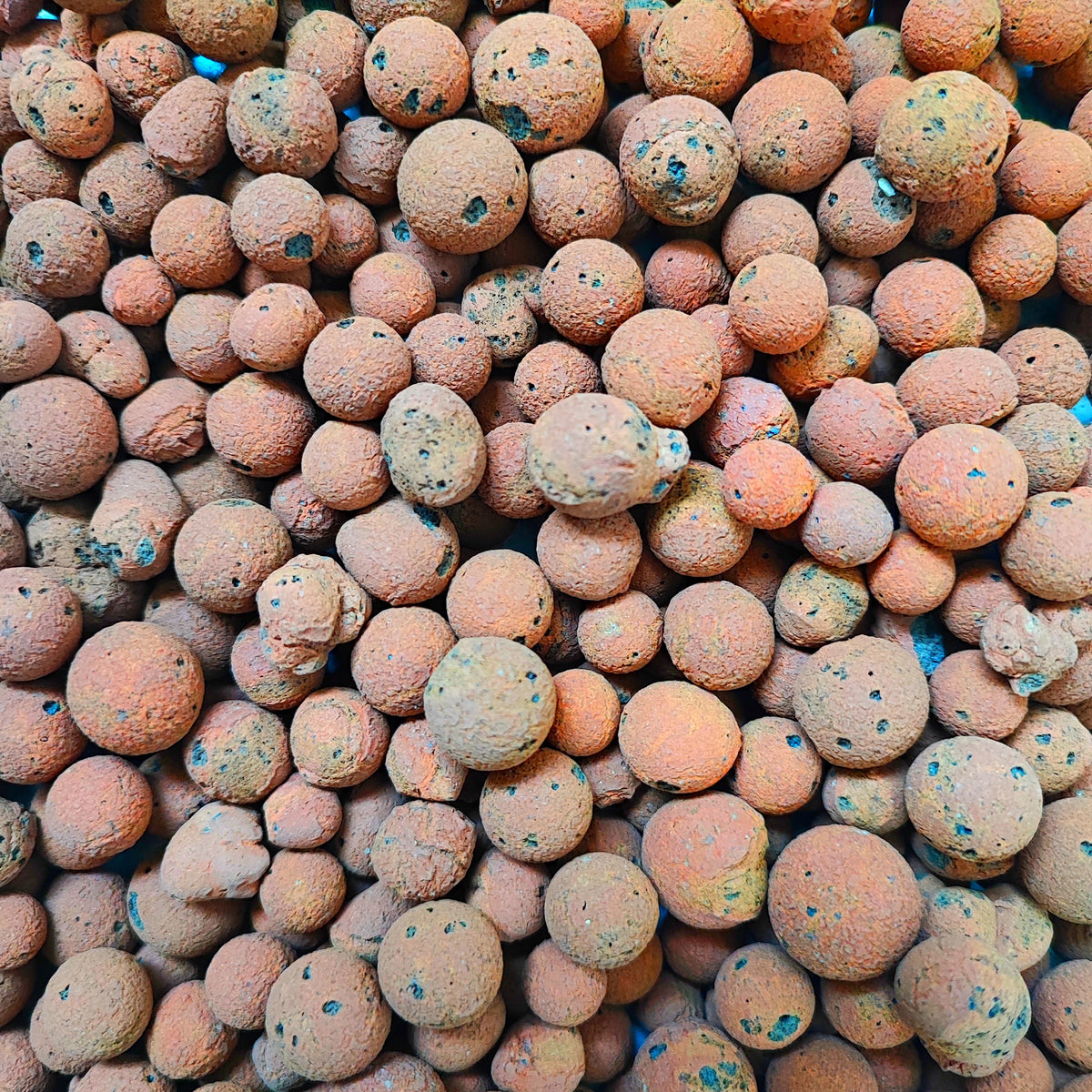 Billes d'argile en sachet monjungle