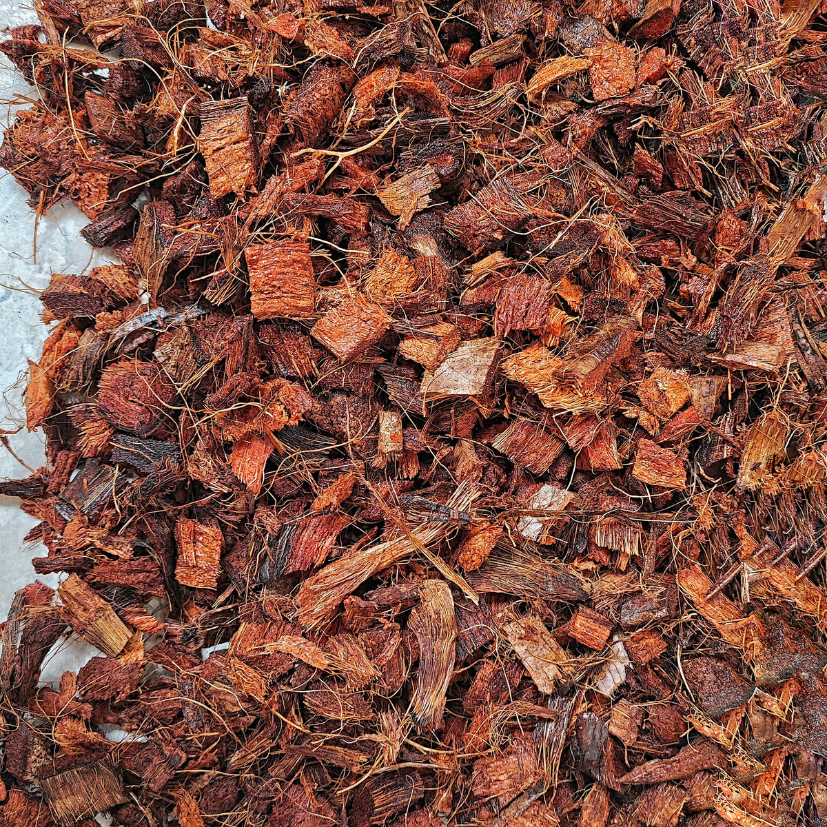 Coco Chips monjungle