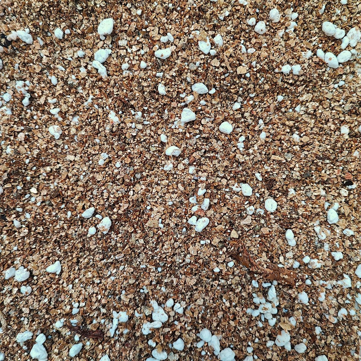 Perlite + Vermiculite monjungle