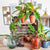 Philodendron RING OF FIRE monjungle