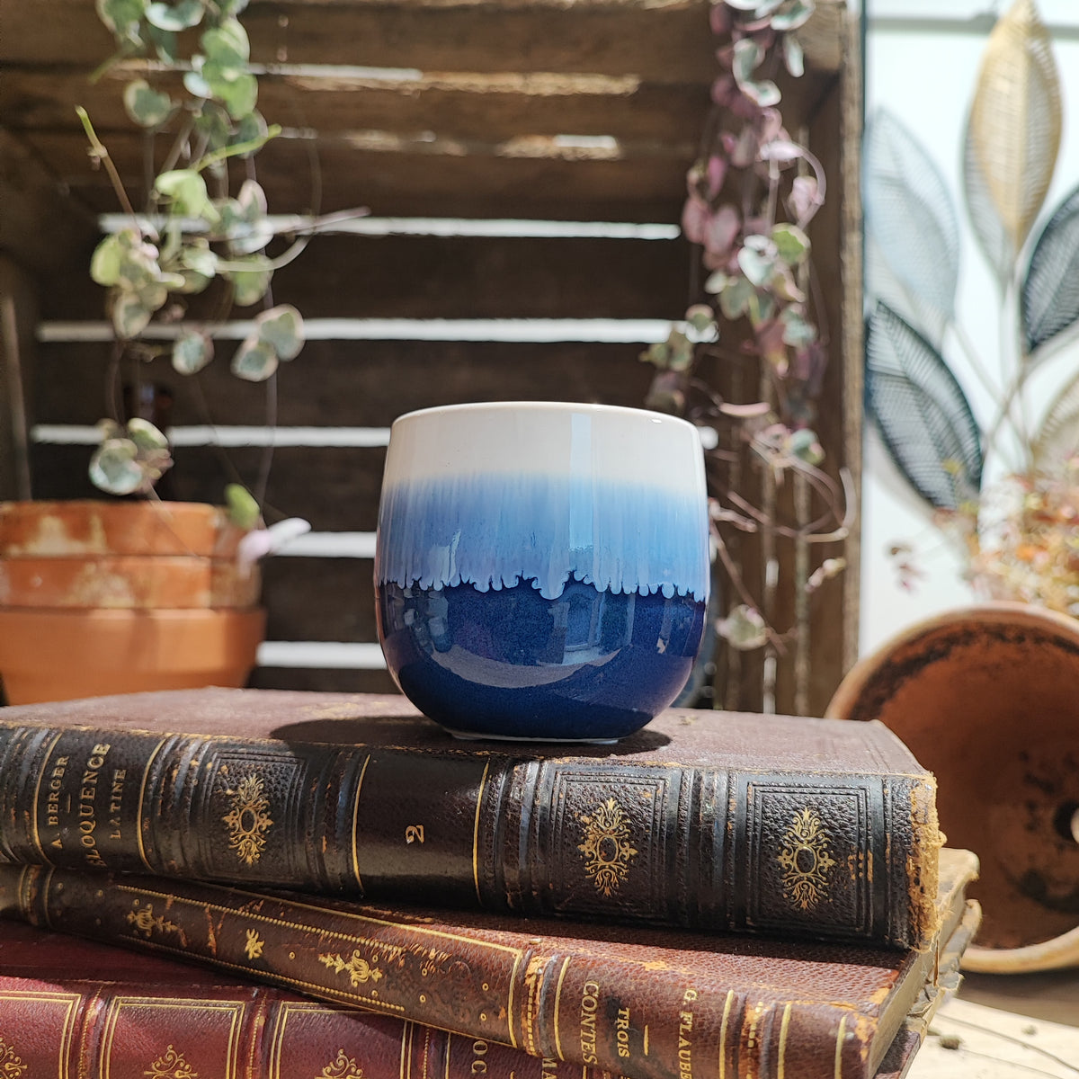 Cache pot: Côte d'azur monjungle