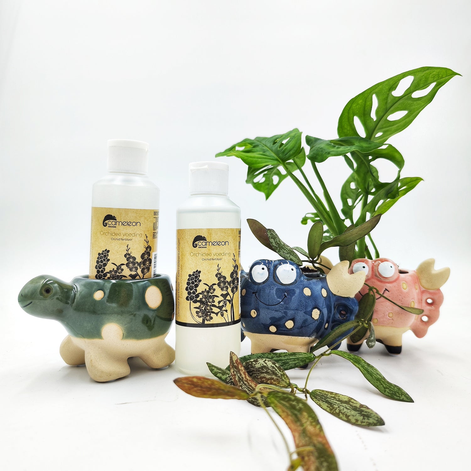 Engrais Orchidées & Épiphytes