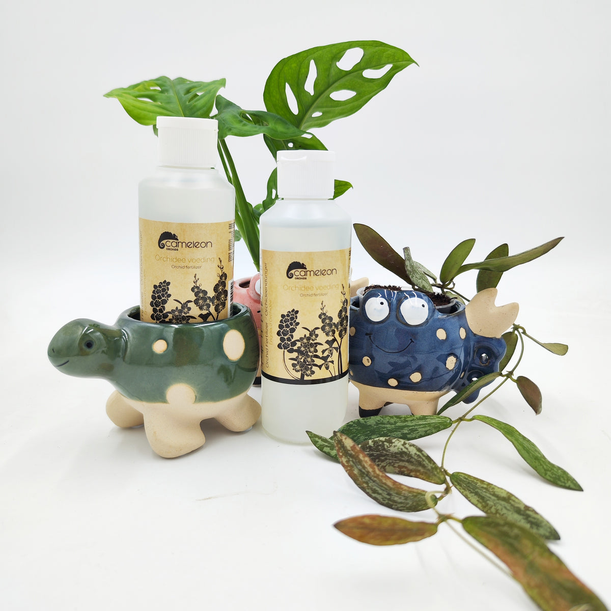 Engrais Orchidées & Épiphytes - monjungle