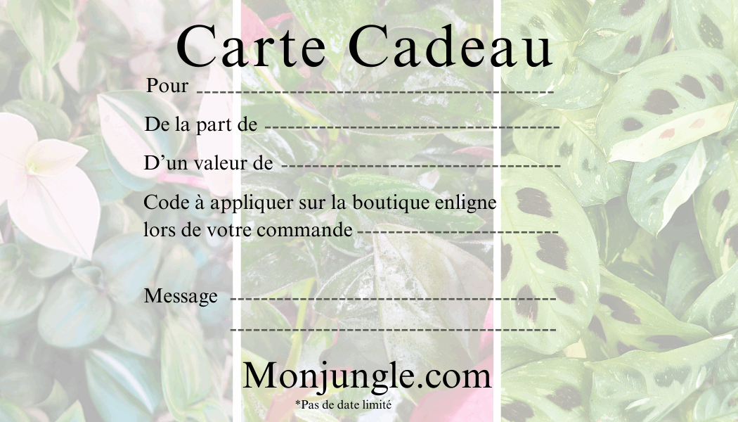 Carte Cadeau Monjungle